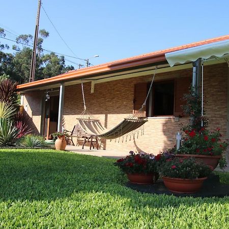 Casa Flor Da Laranjeira Konuk evi Ponte de Lima Dış mekan fotoğraf